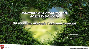 50 000 zł dla organizacji pozarządowych